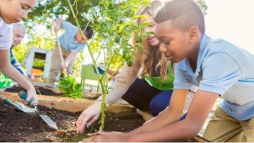 UAE Climate Champions: Supporting young people to create a greener ...